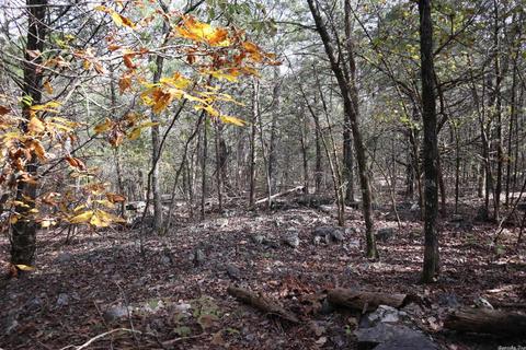 tbd Agnew Rd, Ravenden, AR 72459 photo 1