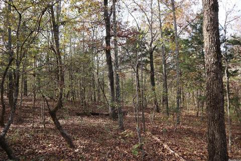 tbd Agnew Rd, Ravenden, AR 72459 photo 11