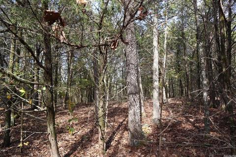 tbd Agnew Rd, Ravenden, AR 72459 photo 3
