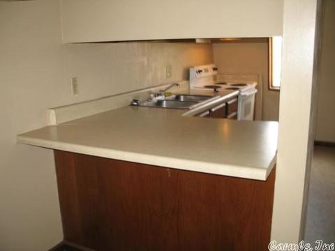 9 Country Heritage Rd, Ash Flat, AR 72513 photo 9