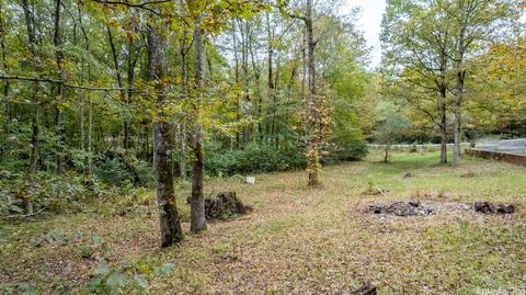 14501 Heinke Rd, Mabelvale, AR 72103 photo 36
