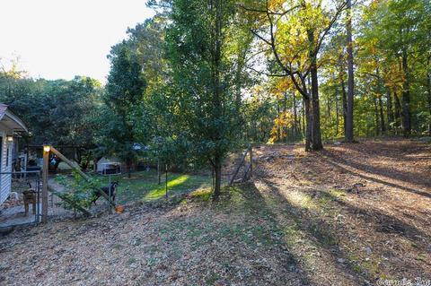 18319 S Alexander, Alexander, AR 72002 photo 40