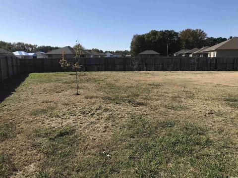 20 Kasidyann Ct, Ward, AR 72176 photo 20
