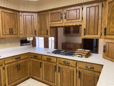 529 Luzerne St, Mount Ida, AR 71957 photo 11
