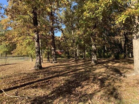 8601 Whiteville Rd, Pine Bluff, AR 71603 photo 4