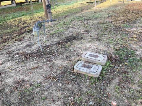 600 N 9th St, Augusta, AR 72006 photo 8