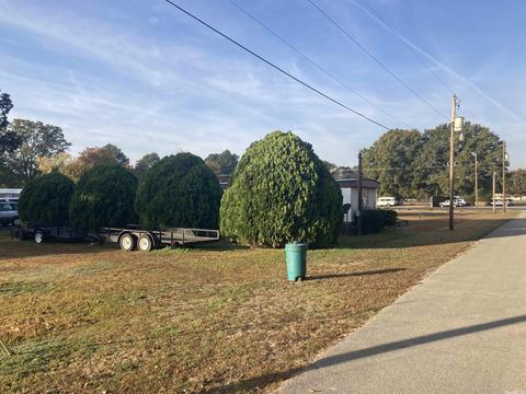 600 N 9th St, Augusta, AR 72006 photo 12