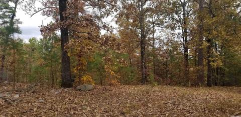 3072 Hwy 88 E, Sims, AR 71969 photo 14