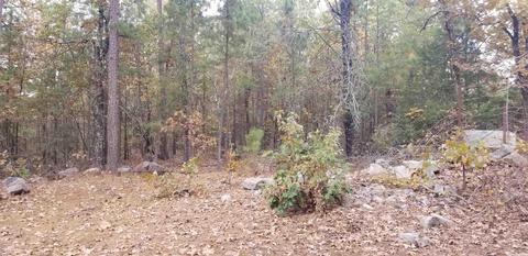 3072 Hwy 88 E, Sims, AR 71969 photo 13