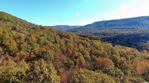 1141 Highway 23, Combs, AR 72721 photo 39
