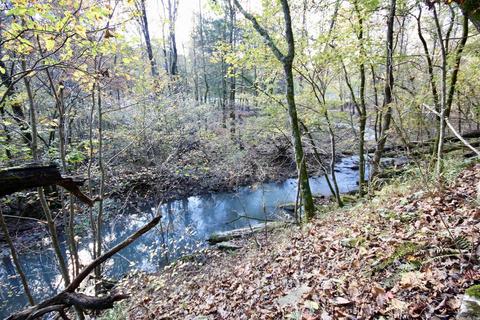 1141 Highway 23, Combs, AR 72721 photo 34