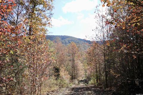 1141 Highway 23, Combs, AR 72721 photo 3
