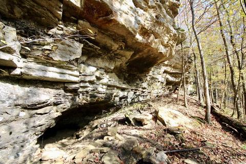 1141 Highway 23, Combs, AR 72721 photo 37