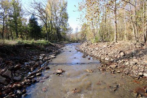 1141 Highway 23, Combs, AR 72721 photo 11