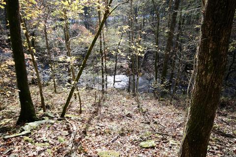 1141 Highway 23, Combs, AR 72721 photo 36
