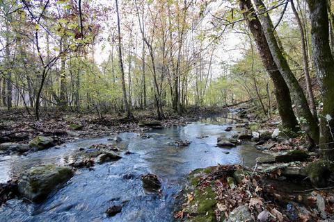 1141 Highway 23, Combs, AR 72721 photo 1