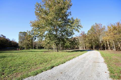 1141 Highway 23, Combs, AR 72721 photo 7