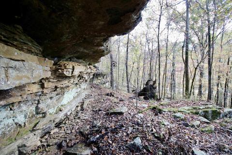 1141 Highway 23, Combs, AR 72721 photo 31