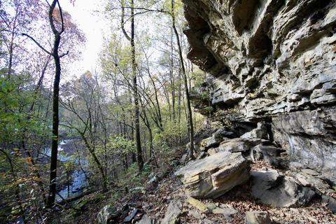 1141 Highway 23, Combs, AR 72721 photo 38