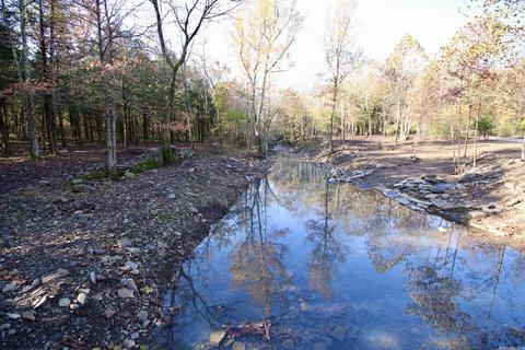 1141 Highway 23, Combs, AR 72721 photo 28