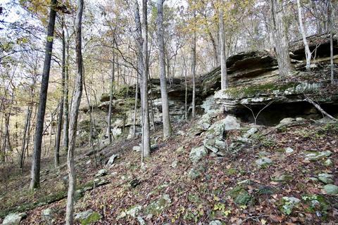 1141 Highway 23, Combs, AR 72721 photo 30
