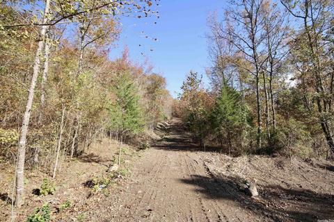 1141 Highway 23, Combs, AR 72721 photo 40