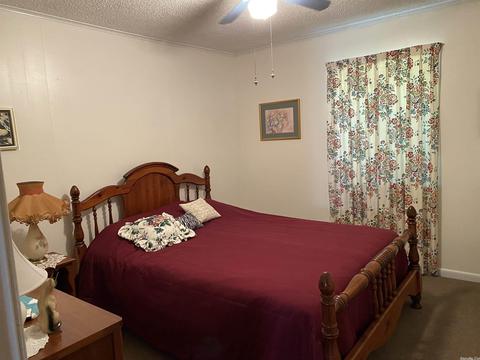 324 Cedar St, Mount Ida, AR 71957 photo 10