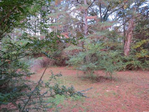20927 Grapevine Ln, Mabelvale, AR 72103 photo 38