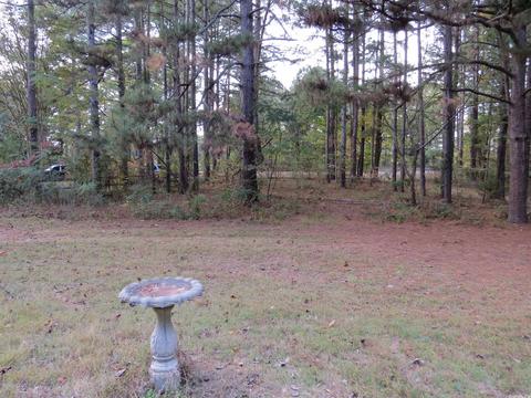 20927 Grapevine Ln, Mabelvale, AR 72103 photo 30