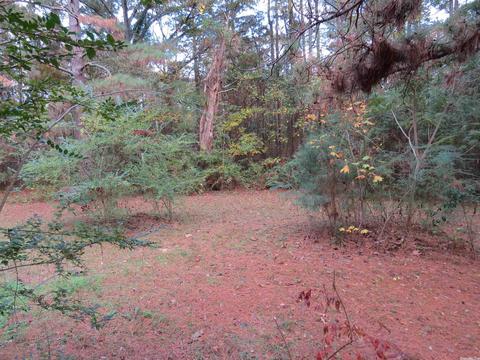 20927 Grapevine Ln, Mabelvale, AR 72103 photo 36