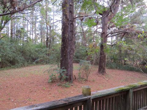 20927 Grapevine Ln, Mabelvale, AR 72103 photo 37