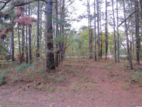 20927 Grapevine Ln, Mabelvale, AR 72103 photo 29