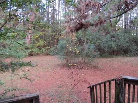 20927 Grapevine Ln, Mabelvale, AR 72103 photo 35