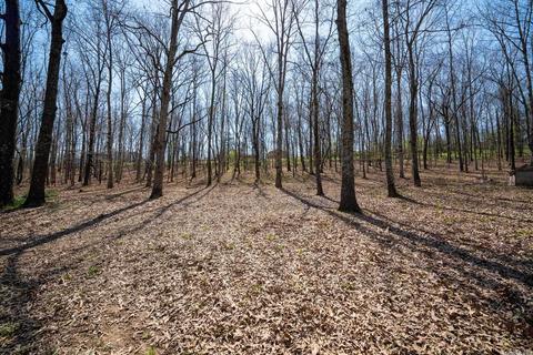 1923 Erving Ridge Loop, Cabot, AR 72023 photo 26