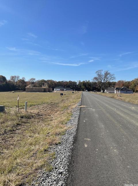 35 Mckaskle Cv, Greenbrier, AR 72058 photo 3