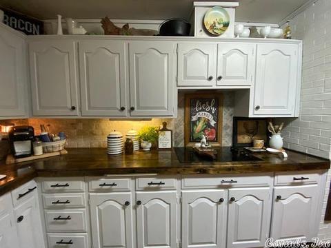 544 Hwy 9 Hwy, Oppelo, AR 72110 photo 6