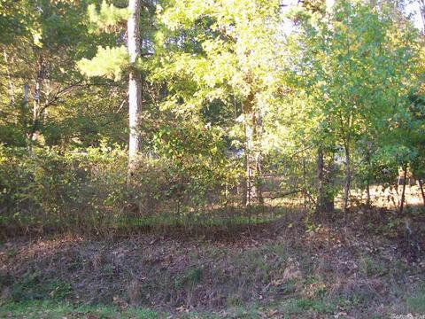 1604 Old Dove Rd, Mountain Pine, AR 71956 photo 3