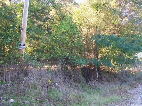 1604 Old Dove Rd, Mountain Pine, AR 71956 photo 4