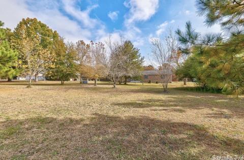292 H St, Clinton, AR 72031 photo 28