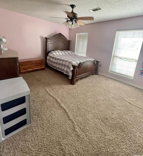 55 Venus Dr, Conway, AR 72032 photo 10