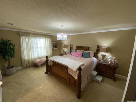 14426 Vimy Ridge Rd, Alexander, AR 72002 photo 10