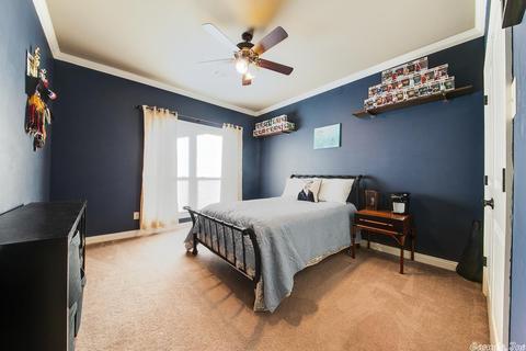 80 Cedar Brook Cv, Austin, AR 72007 photo 31
