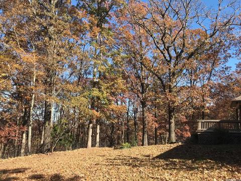 1059 Skyline Cv, Alexander, AR 72002 photo 6