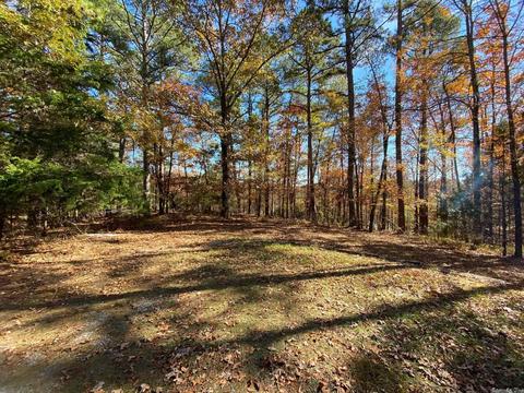 149 Forestridge Rd, Royal, AR 71968 photo 21