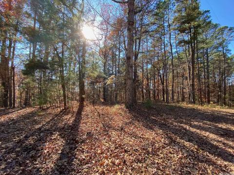 149 Forestridge Rd, Royal, AR 71968 photo 25