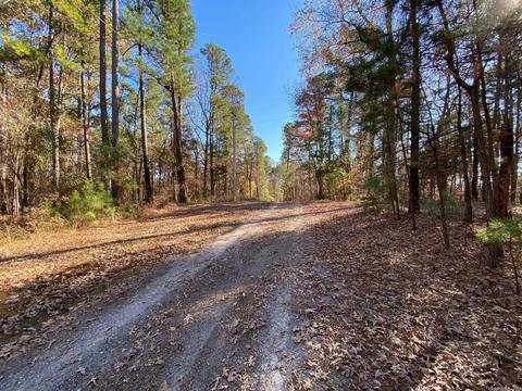 149 Forestridge Rd, Royal, AR 71968 photo 27