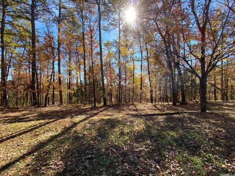 149 Forestridge Rd, Royal, AR 71968 photo 23