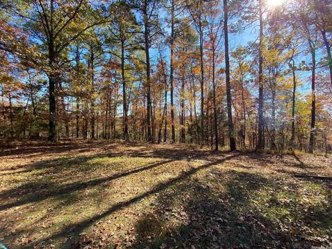 149 Forestridge Rd, Royal, AR 71968 photo 22