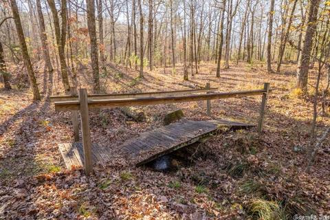 441 Golden Rd, Mount Ida, AR 71957 photo 40