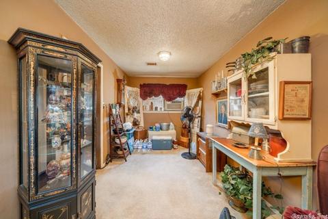 441 Golden Rd, Mount Ida, AR 71957 photo 6